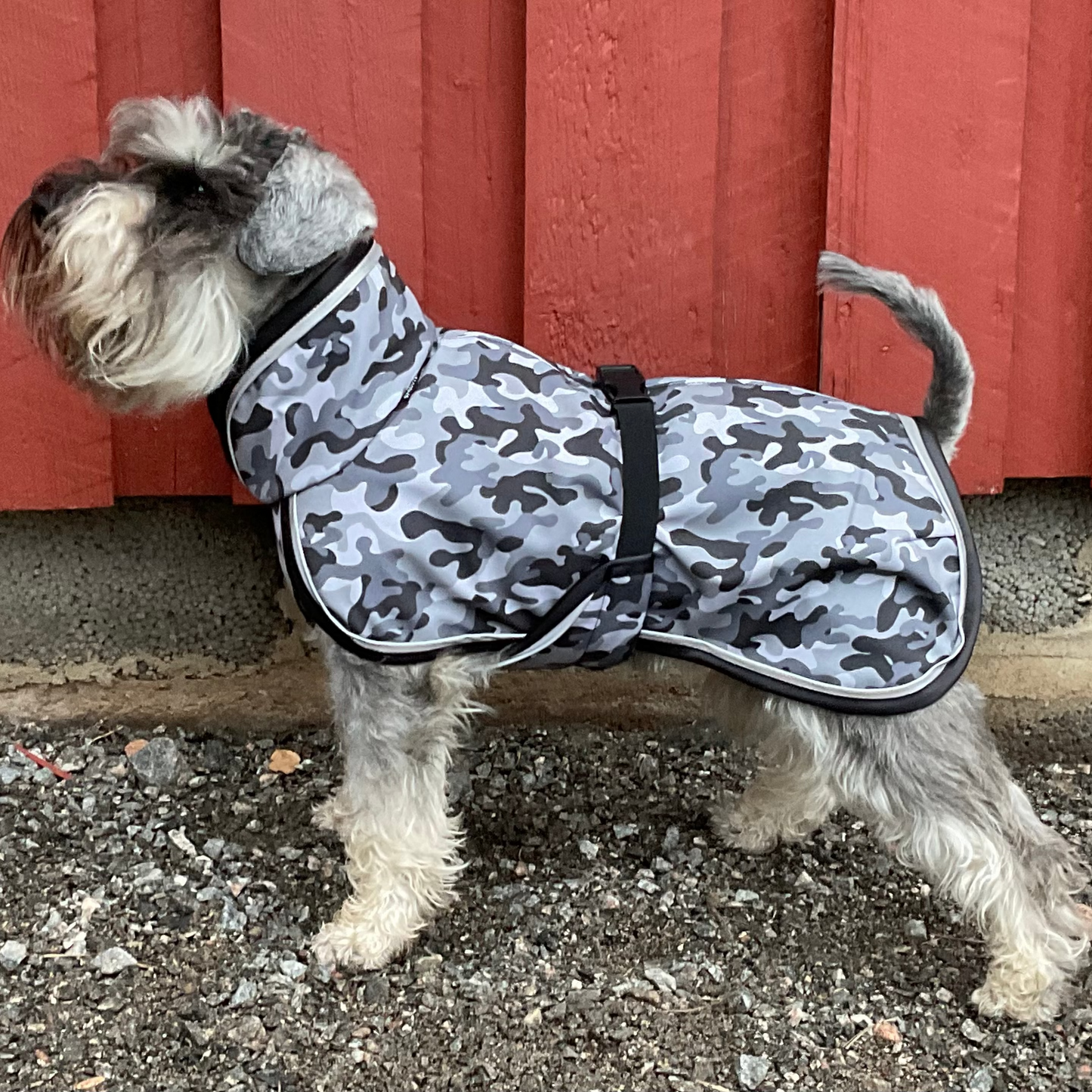 Koiran softshell takki, camo kuosi