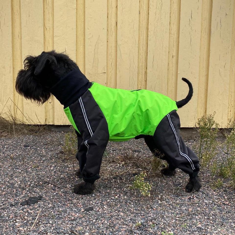 Kauluksellinen ulkoiluhaalari koiralle