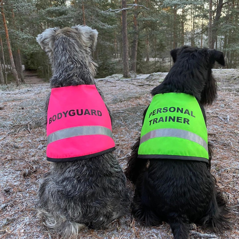 Koiran huomioliivi vakiotekstillä