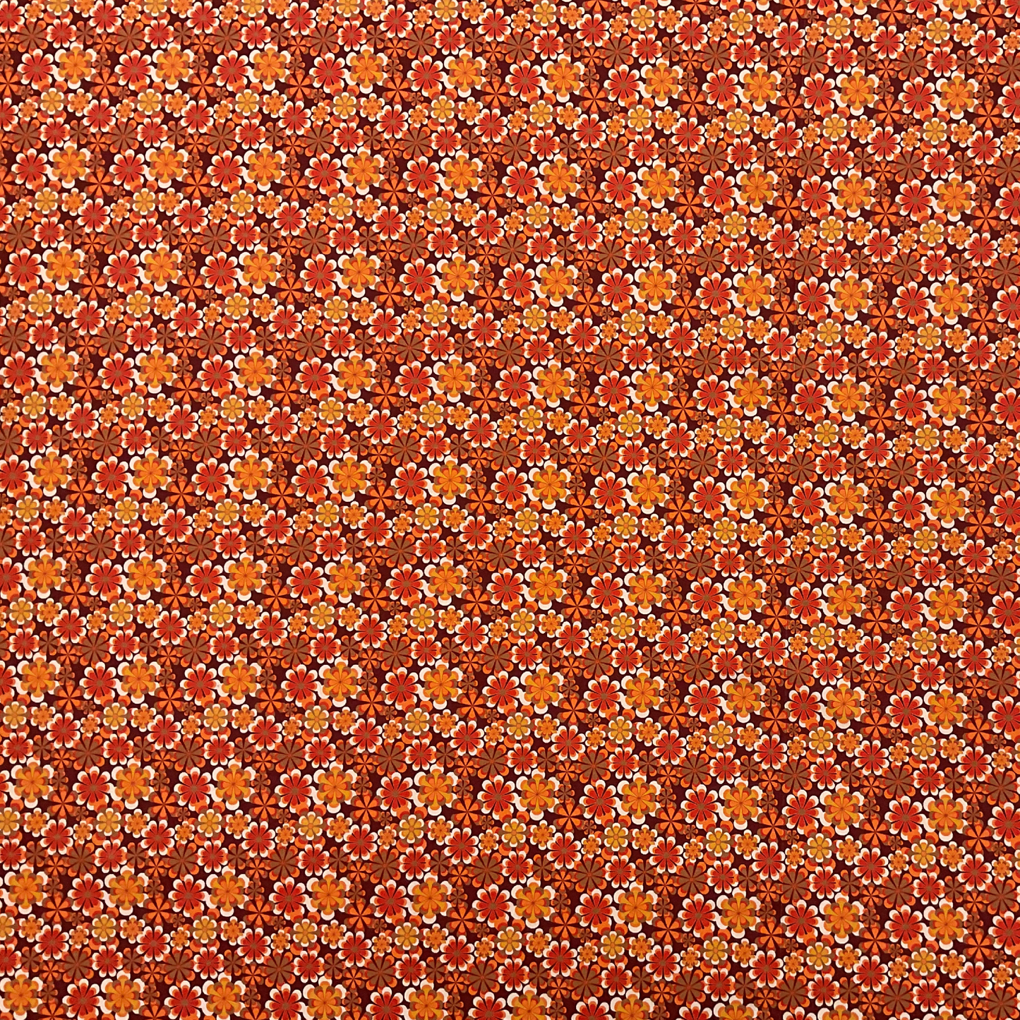 Trikoosta oranssikukallinen retrokuosi