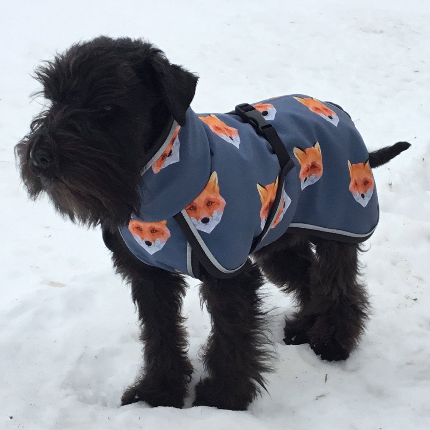 Koiran kettutakki softshell