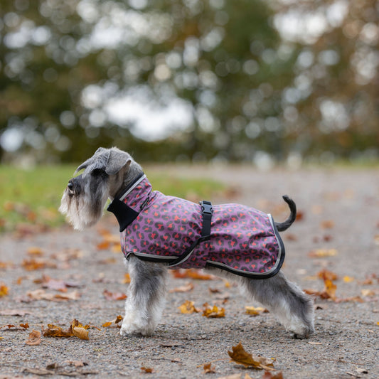 Leopardikuosi sadetakki sivusta