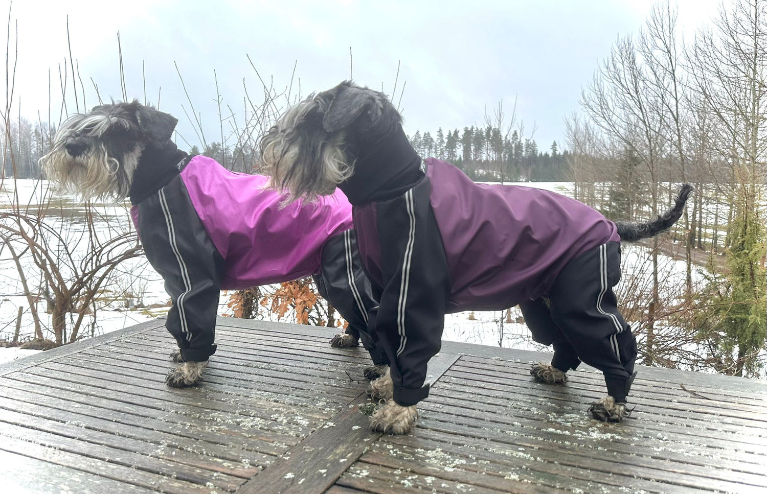 Milliset koiran haalarit