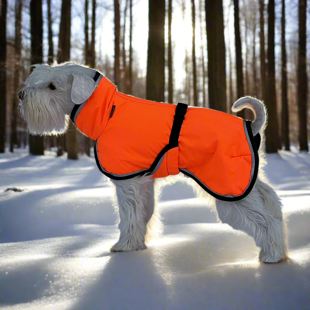 Milliset koiran toppatakit