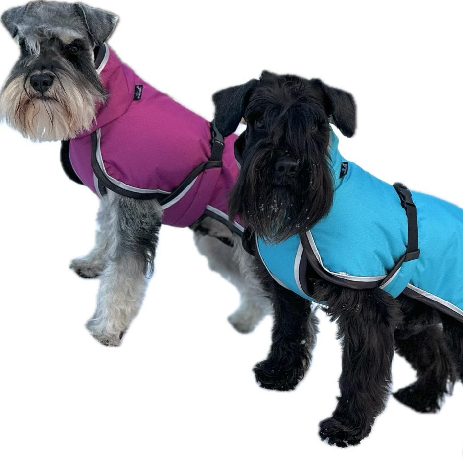 Milliset koiran toppatakit