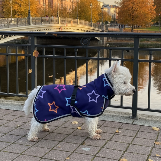 Tähtikuosi koiran takki