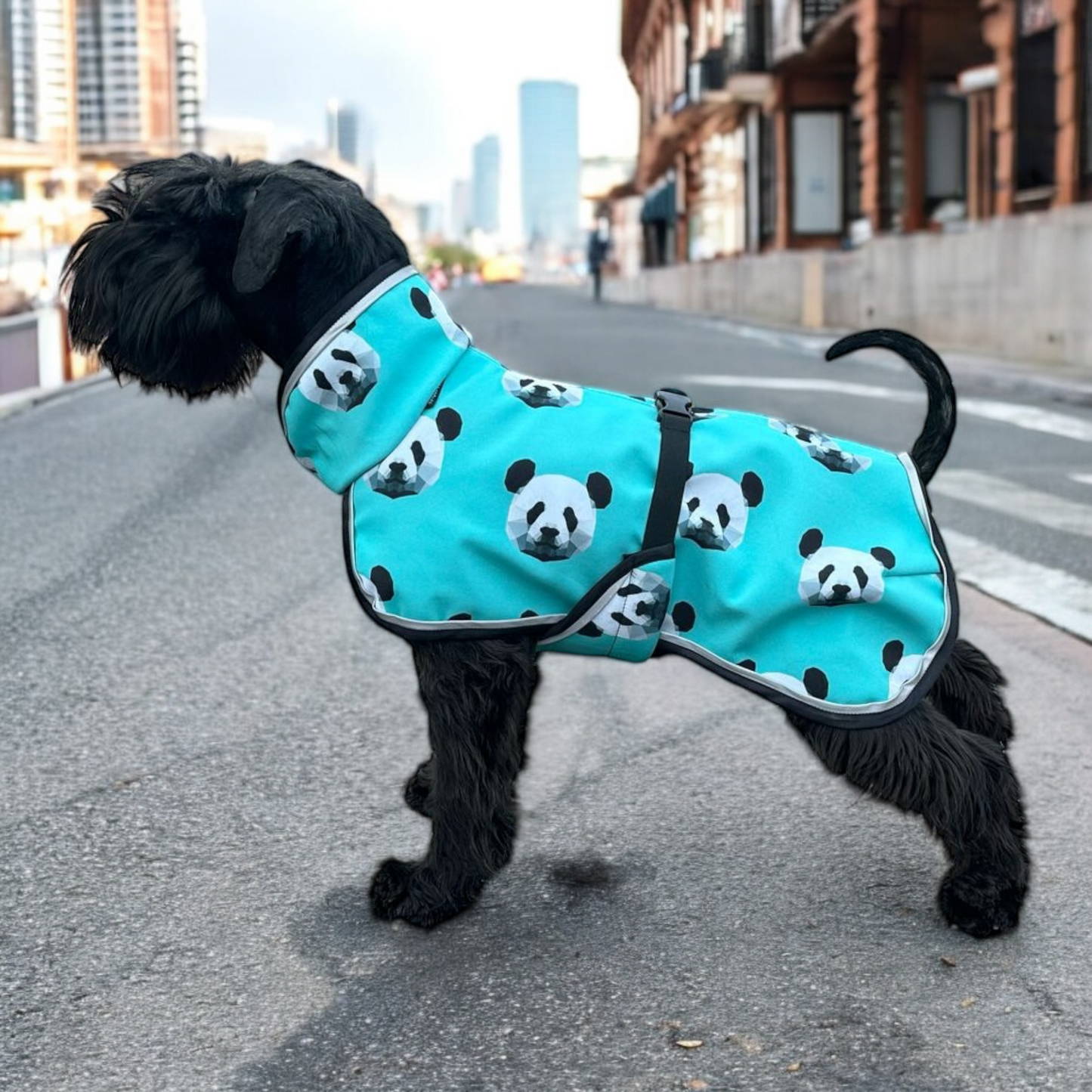 mintun värinen softshell takki koiralle