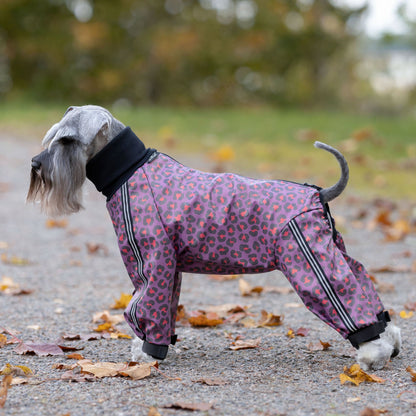 Leopardikuosi sadehaalari sivusta