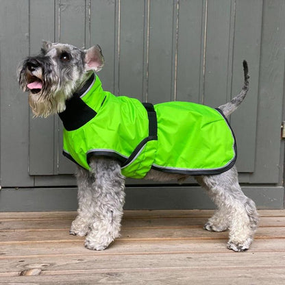 Koiran sadetakki limen vihreä heijastintereet