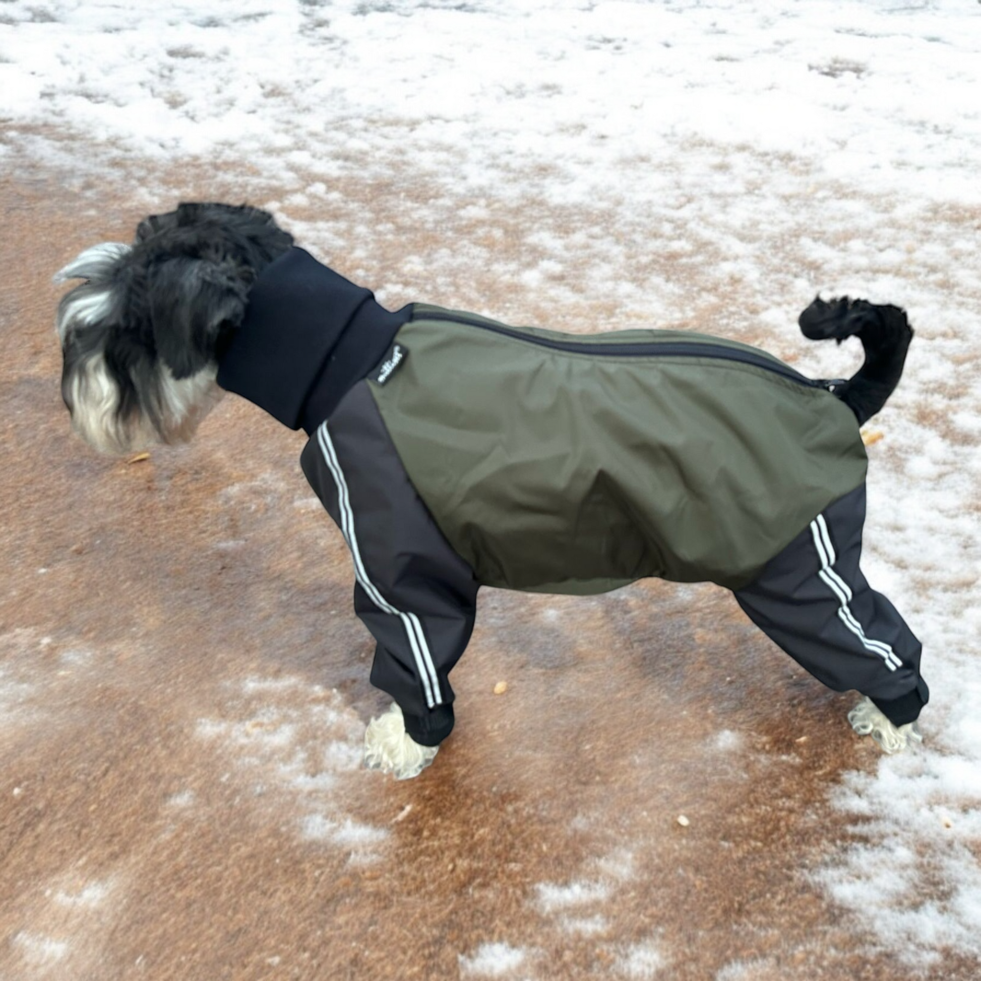 Khakimusta tuulipuku koiralle