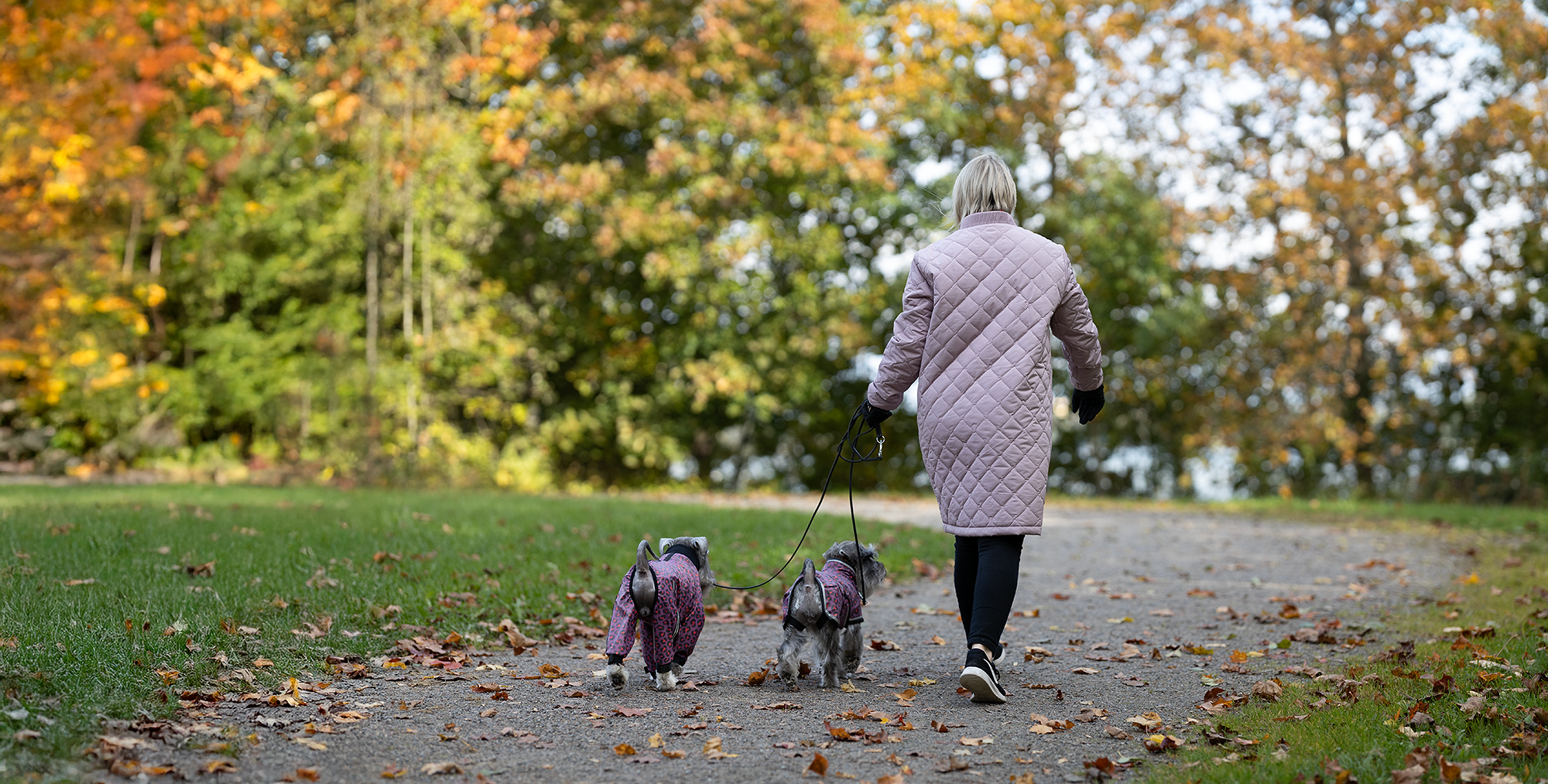 puistokuva keskikoko