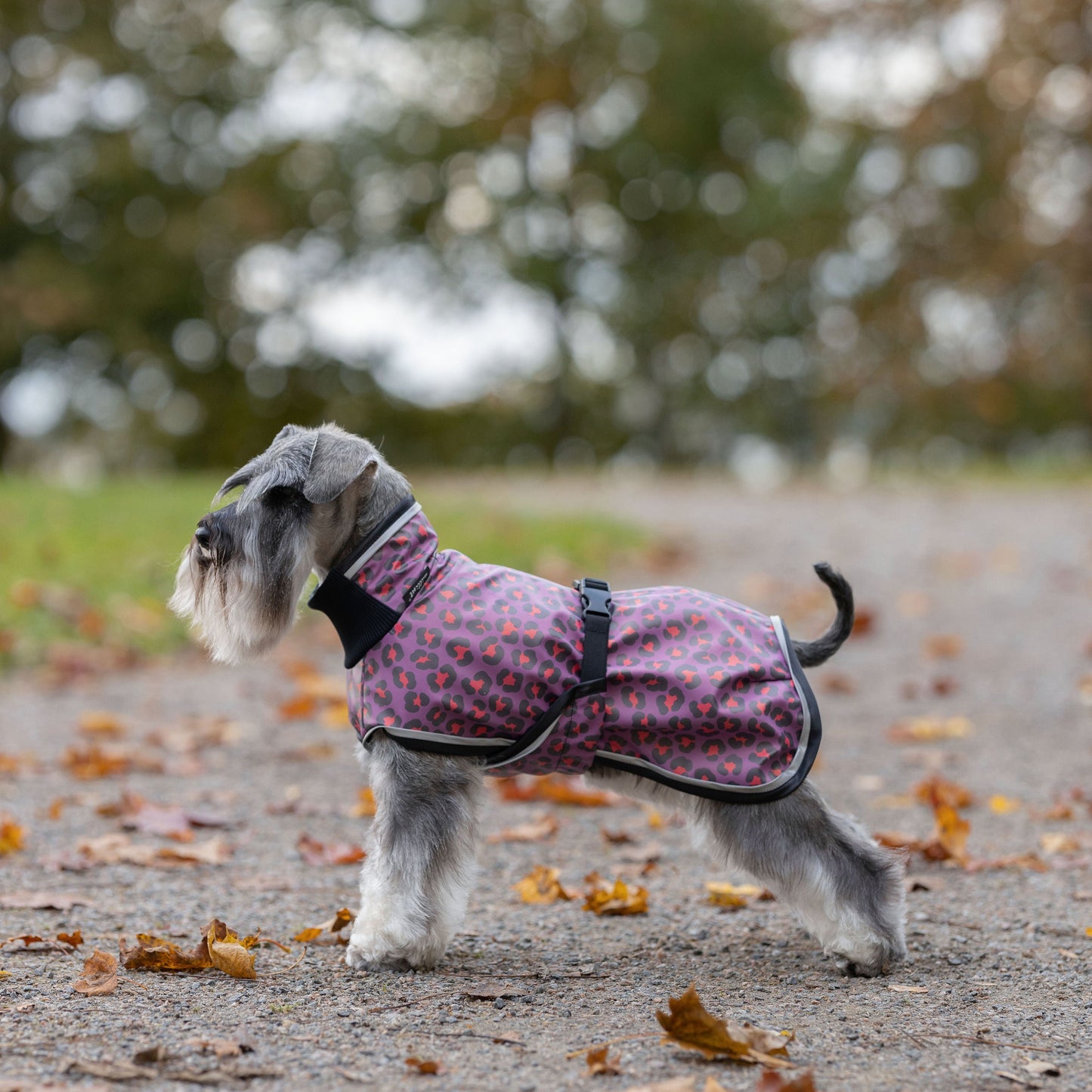 Leopardikuosi sadetakki sivusta