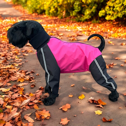 vedenpitävä koiran ulkoiluhaalari